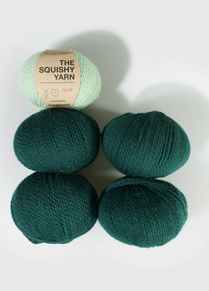 Pack de 5 Ovillos de Squishy Yarn
