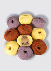 Pack de 10 Ovillos de Meripaca Yarn
