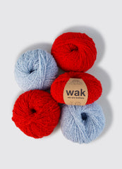 Pack de 5 Ovillos de Boucle Cloud Yarn